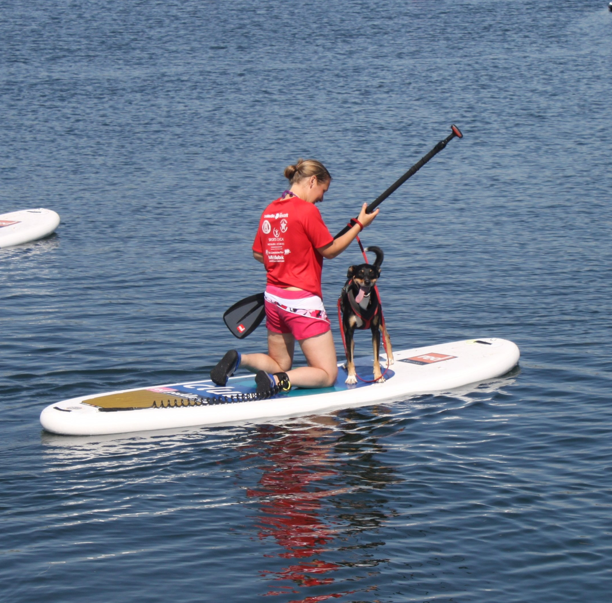 Murph on a paddleboard